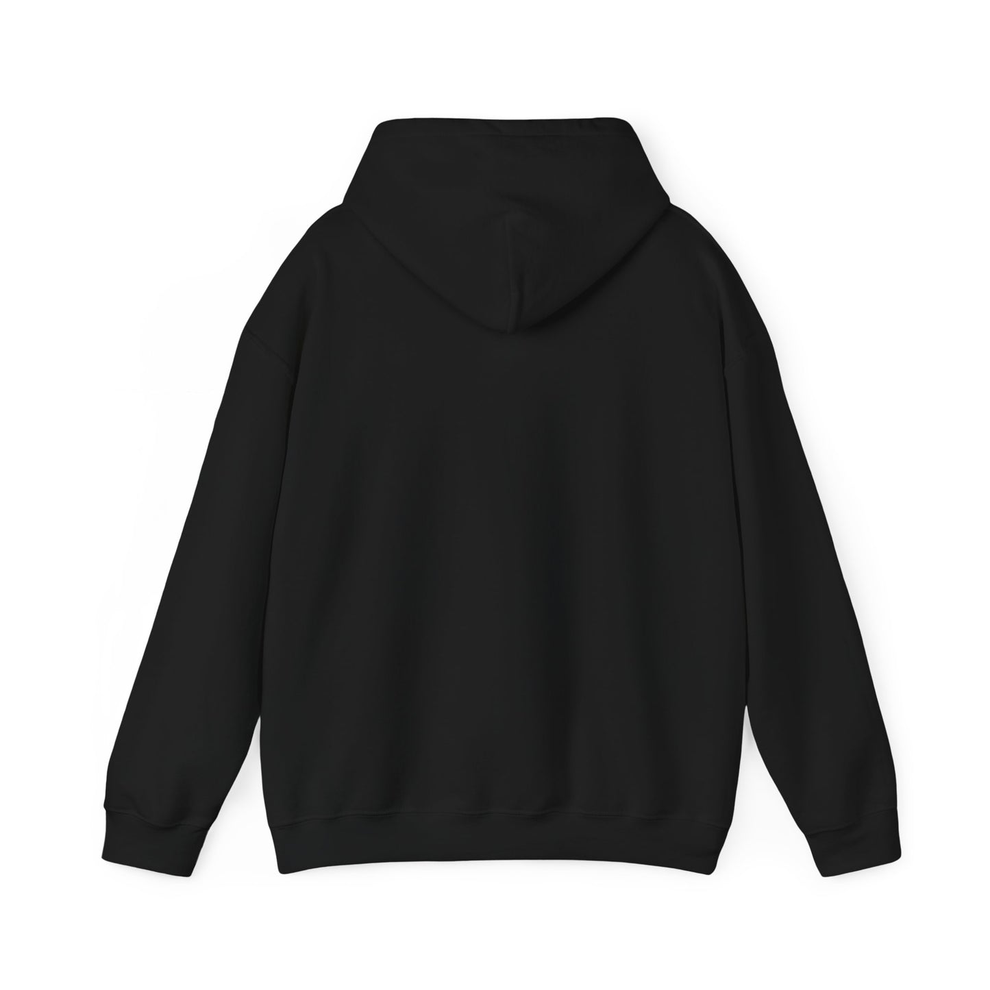 Assets Over Labilities (Hooded Sweatshirt)